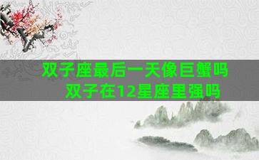 双子座最后一天像巨蟹吗 双子在12星座里强吗